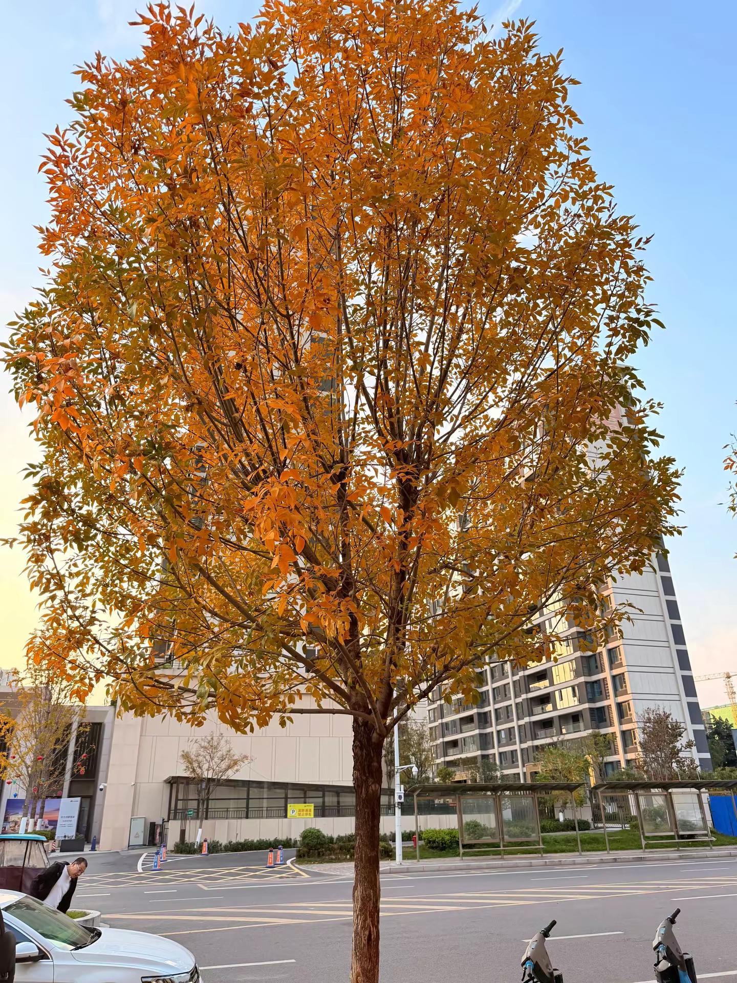 当你把人性看透，你就会喜欢独处，不愿意掺合无效社交，更不会讨好任何人