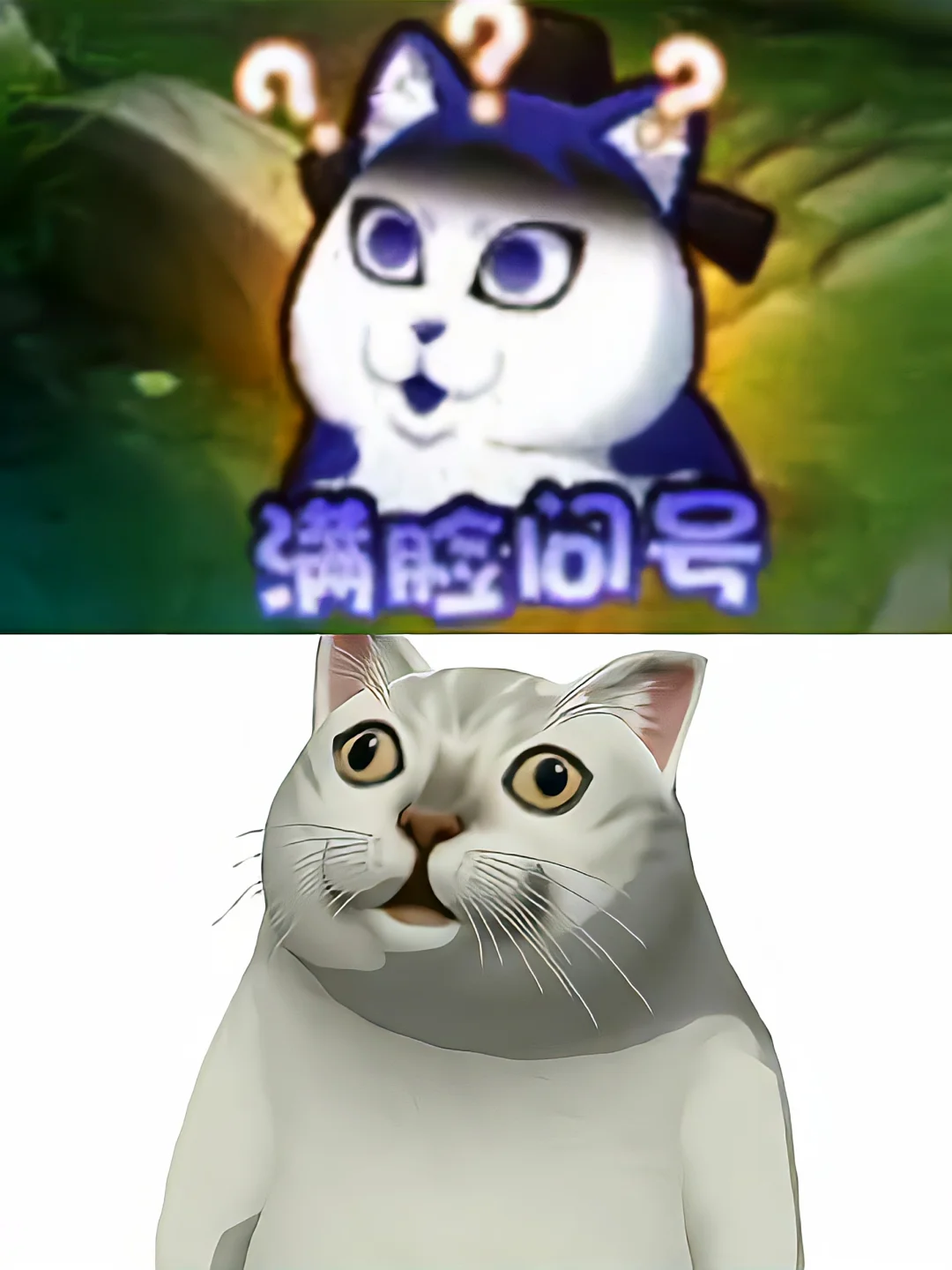 姬小满表情包灵感来源。