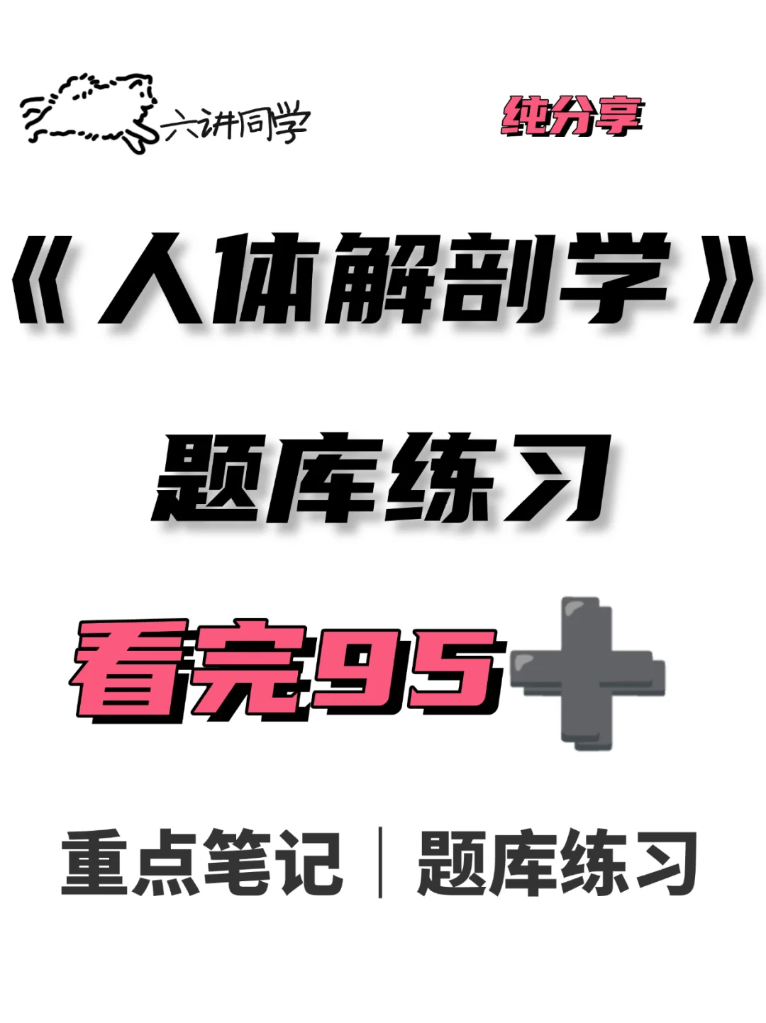 《人体解剖学》试题练习🔥