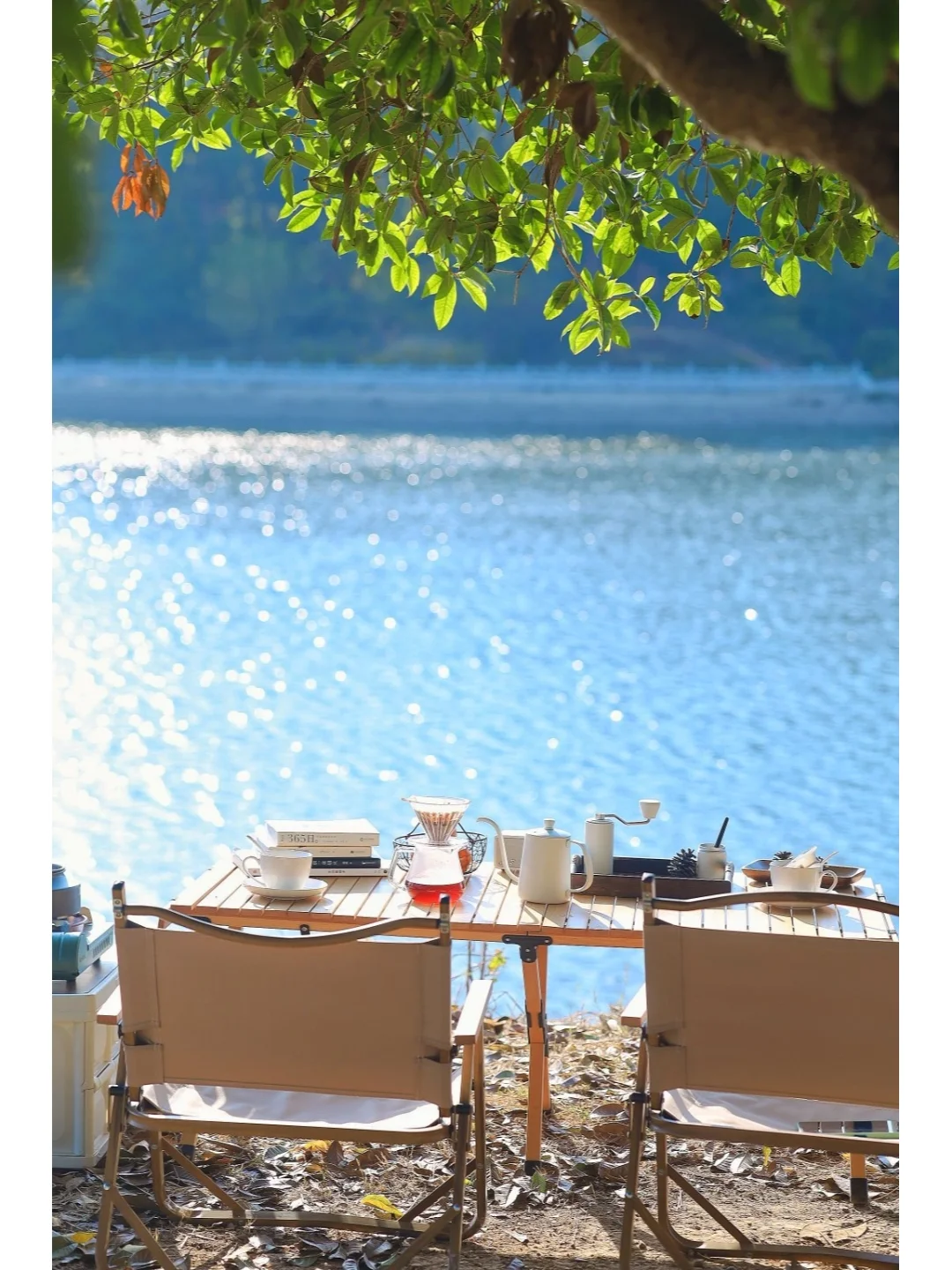 私藏/武汉神仙露营地❗️坐拥星辰大海美爆