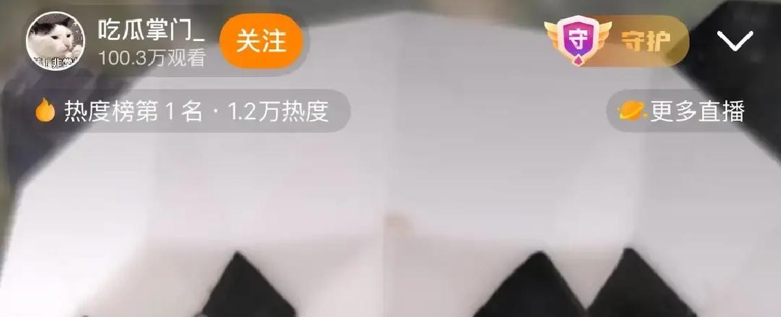 娱乐圈里的沉默往往比发声明还要震耳欲聋，当包贝尔被刘大锤放出视频后，夫妻俩到现在连个回音都没有，这种反常的安静实在让人觉得内有玄机

说来也是戏剧性，人家狗仔的镜头一开始根本没瞄准他

刘大锤在直播里把底牌亮了，团队在酒店外头风吹日晒守了整整三天，原本盯的是别的线索

谁知道偏偏把包贝尔和一个红头发