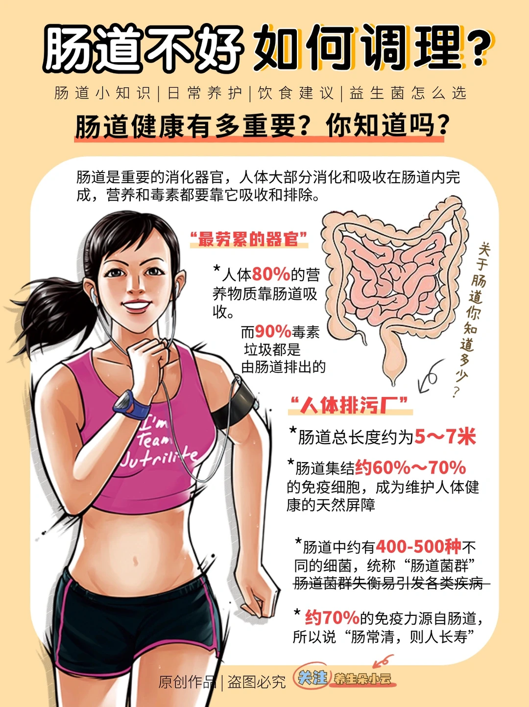 不能忽视的肠道健康‼️附养护方法+益生菌✅