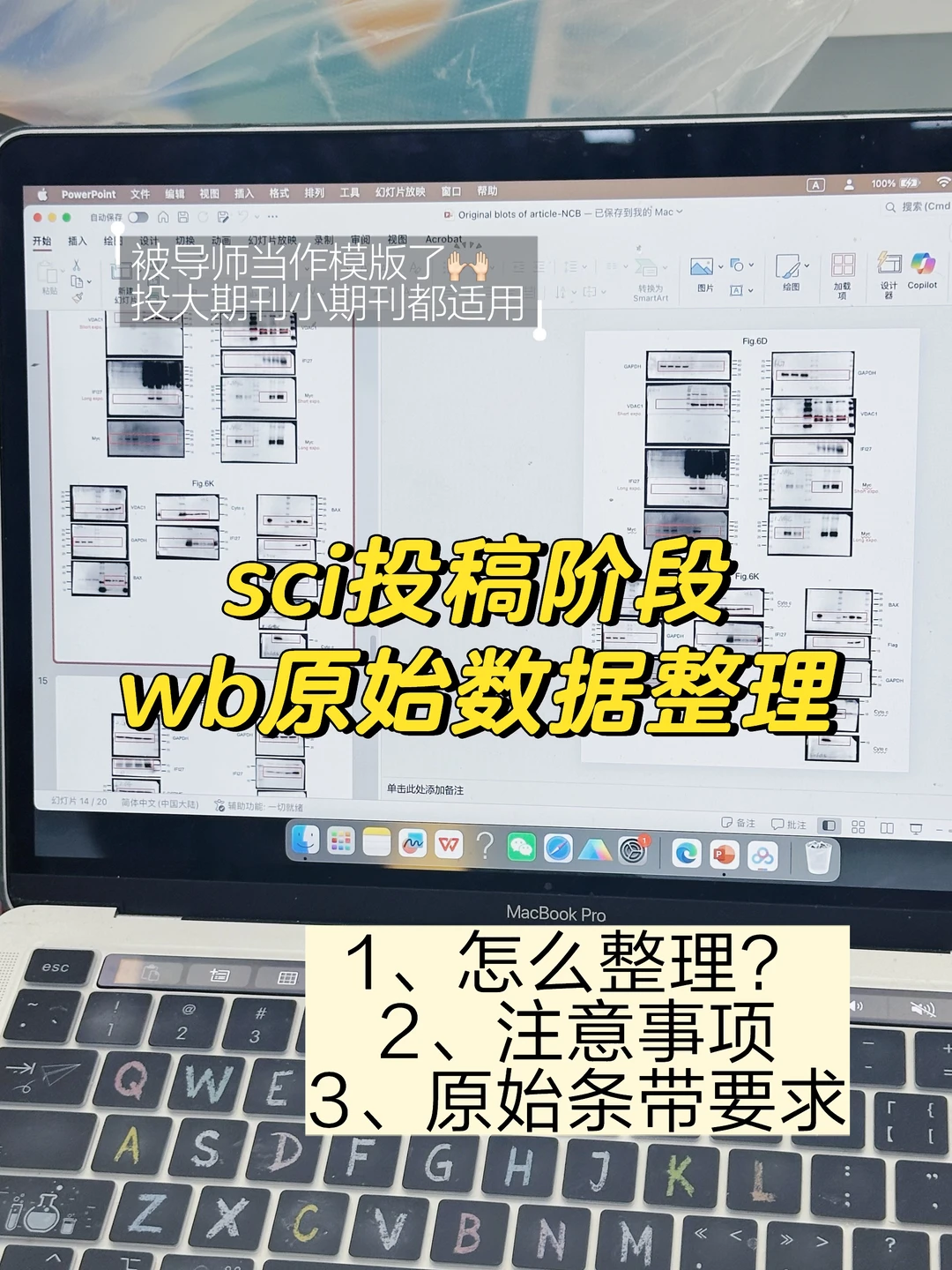 导师当作模版的wb原始数据，分享整理tips 📊