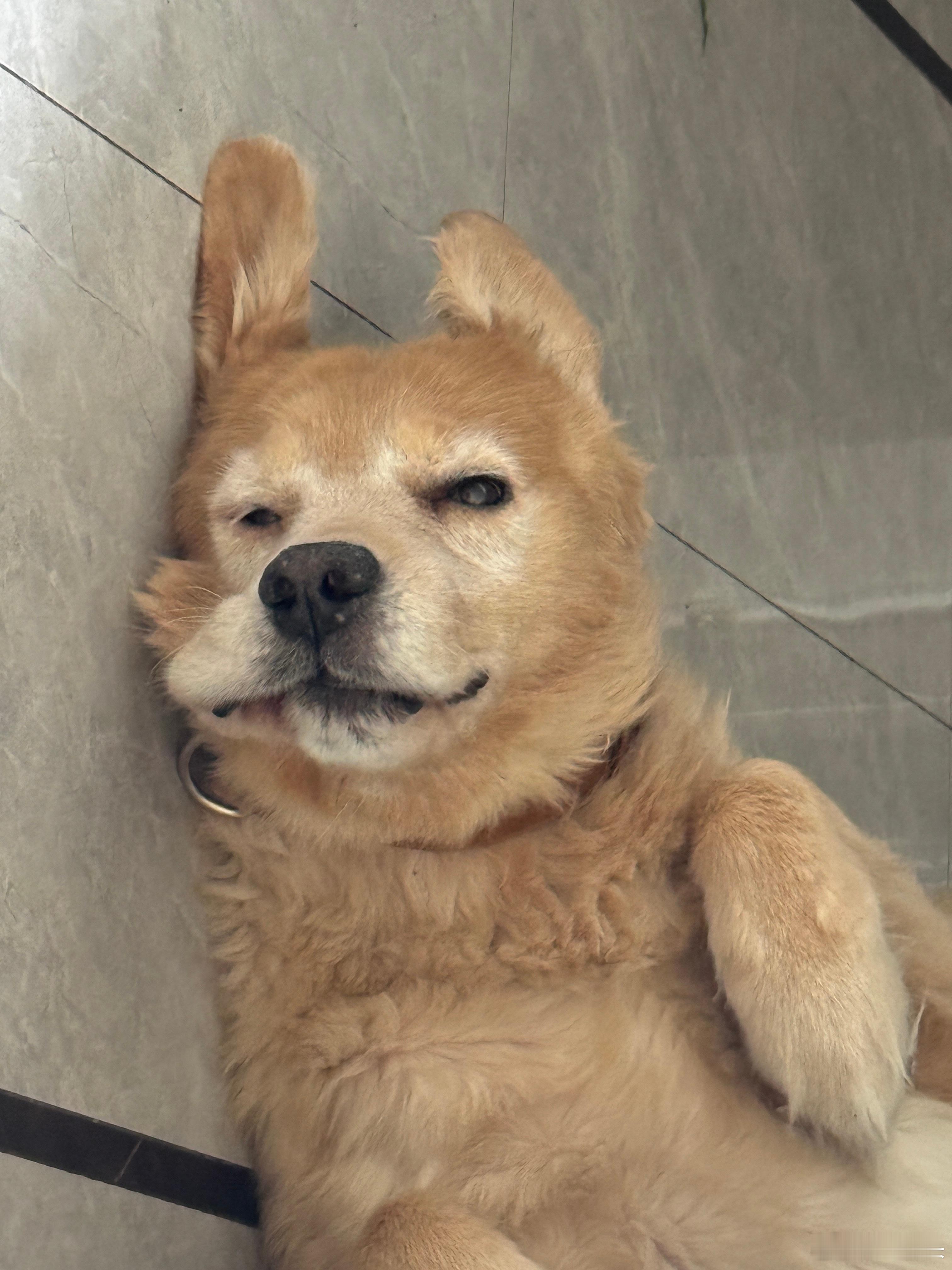 谁家小熊 ​​​