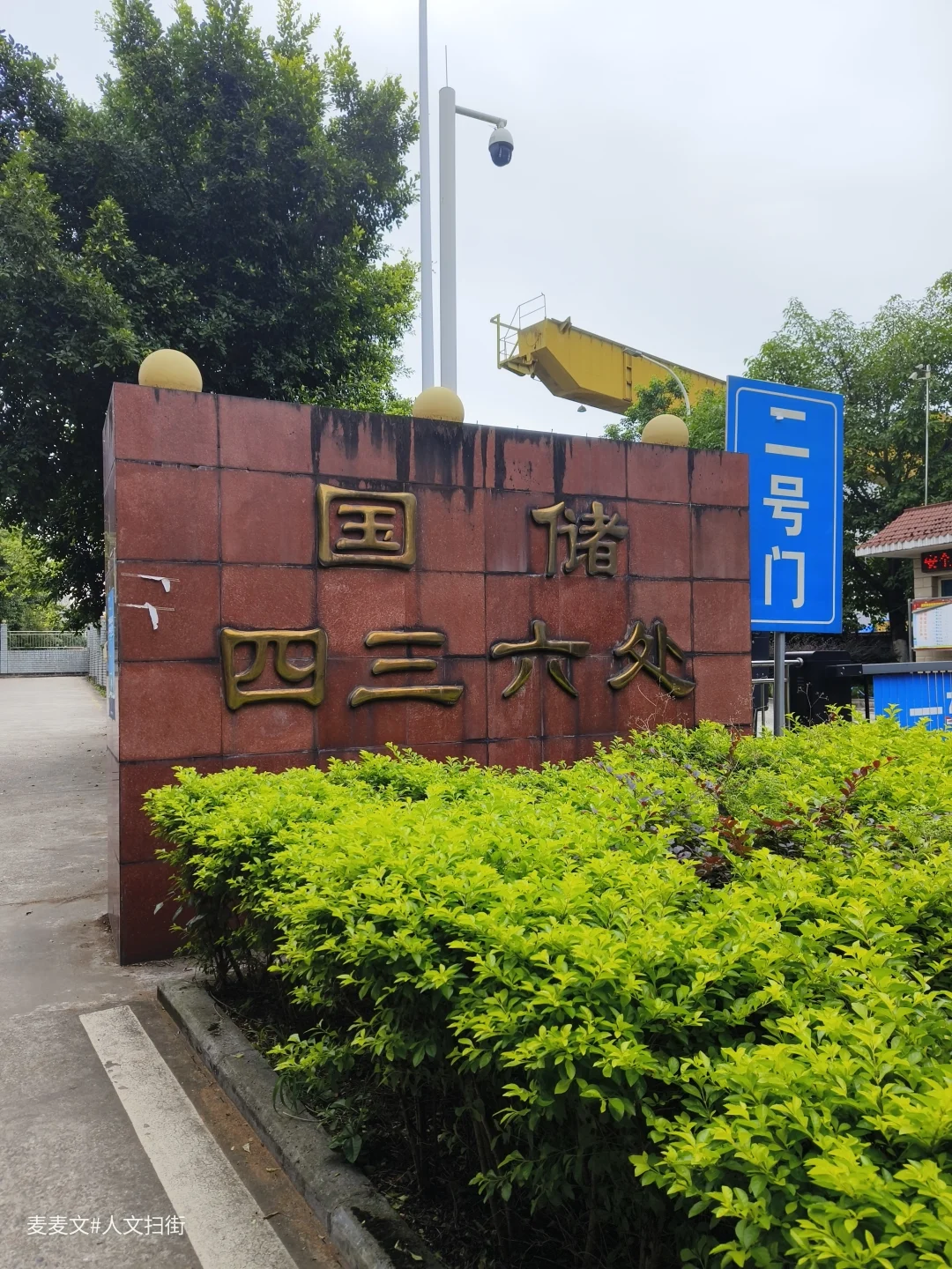 【大渡口】国储四川局四三六处