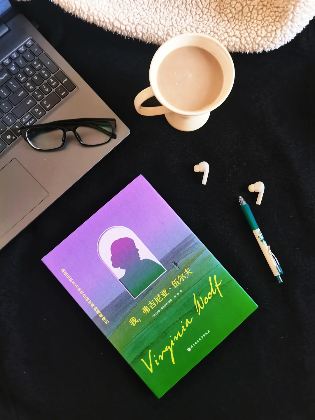 她的疯与痛，这本伍尔夫图像传记全画透了！