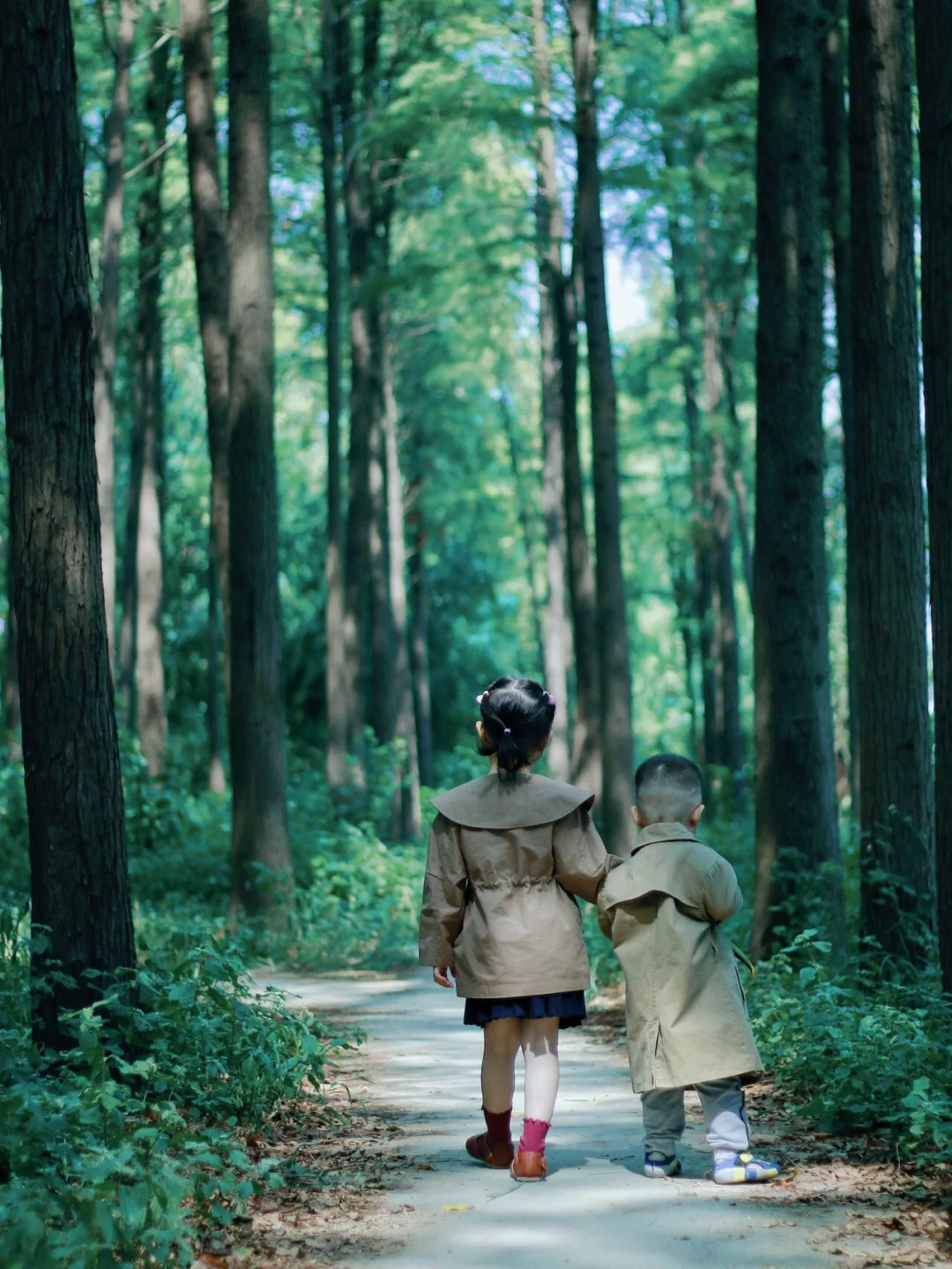 绝了❗️藏在市中心的宝藏公园竟被我挖掘到了