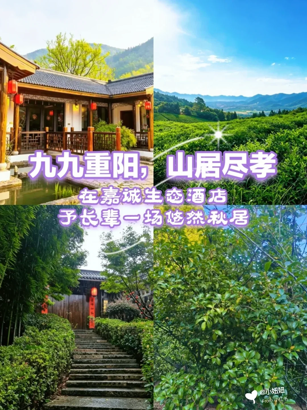 九九重阳，山居尽孝｜在嘉诚生态酒店，予长辈一场悠然秋居
重阳念亲恩，秋暖伴安康。