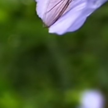 [超话]人生就像马拉松，获胜的关键不在于瞬间的爆发，而在于途中的坚持。...