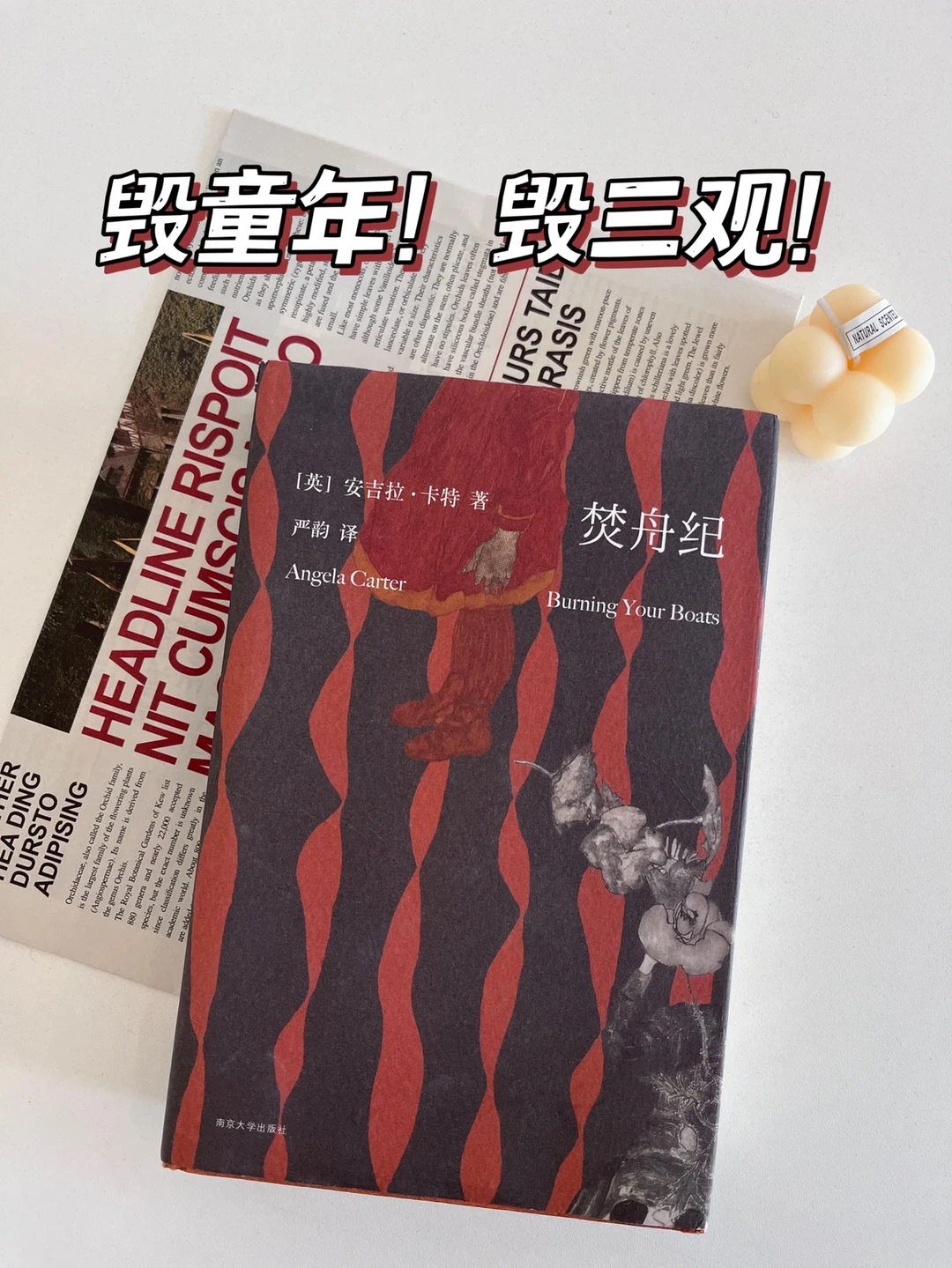 豆瓣8.9，一本细思恐极的暗黑成人童话！