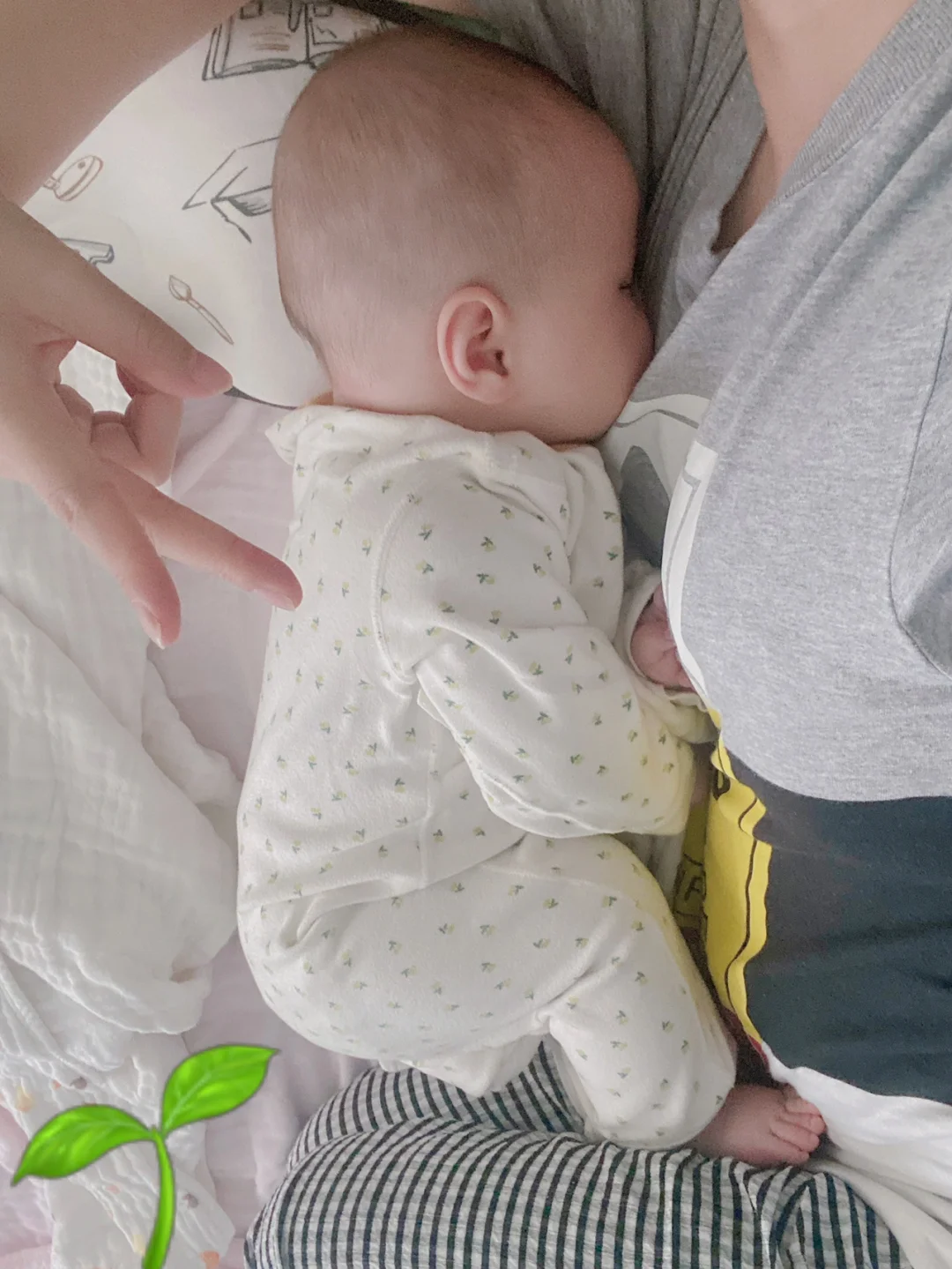 谁的胳肢窝下面没个小可爱？守着粮仓睡更香