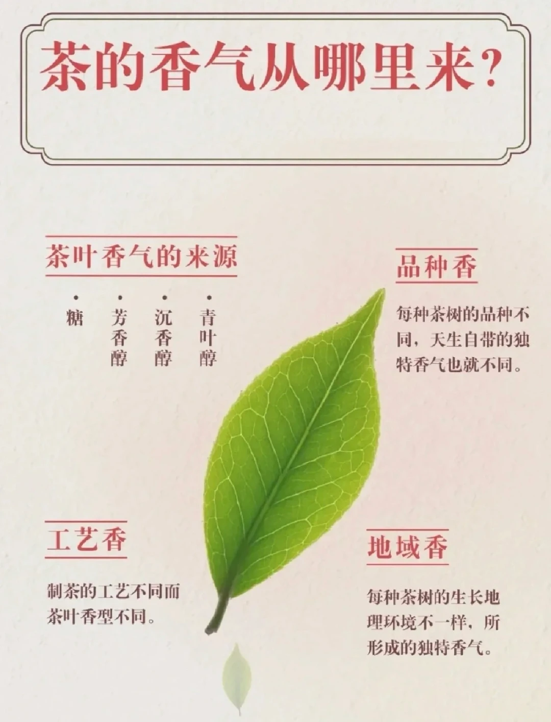 茶的香气从哪里来？我来告诉你！