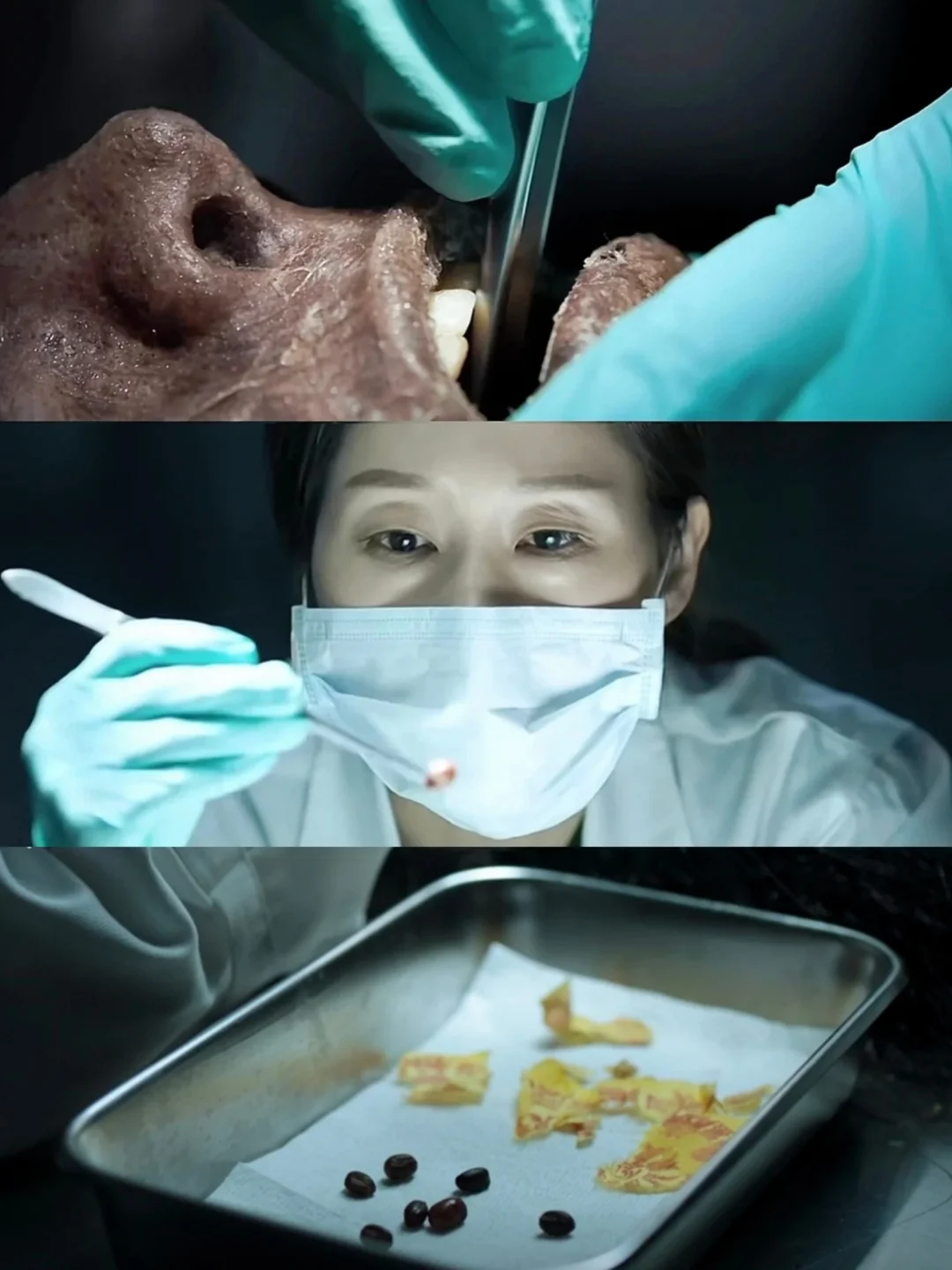 81名少女被害❗韩国太敢拍了❗悬疑惊悚😱