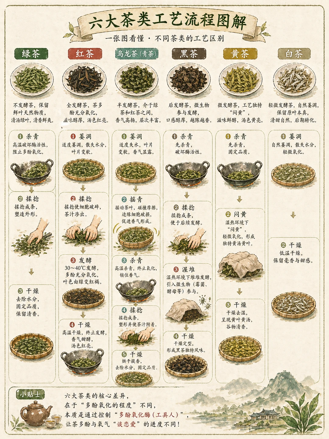 一张图带你看懂六大茶类的制作工艺