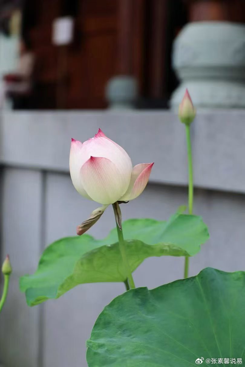 信仰不是用来道德绑架别人，也不是拿一套固定标准去框定所有人。众生根器不同、因缘不同，修行方式自然不同。 ​​​