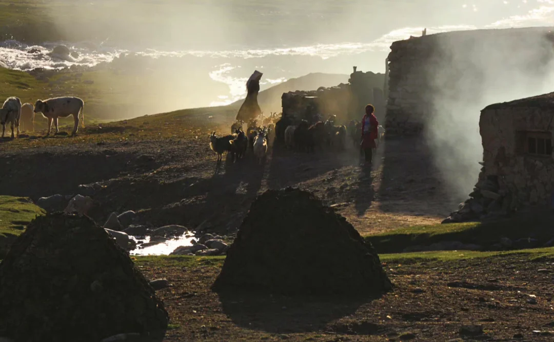在远离喧嚣的角落看余晖与烟尘
