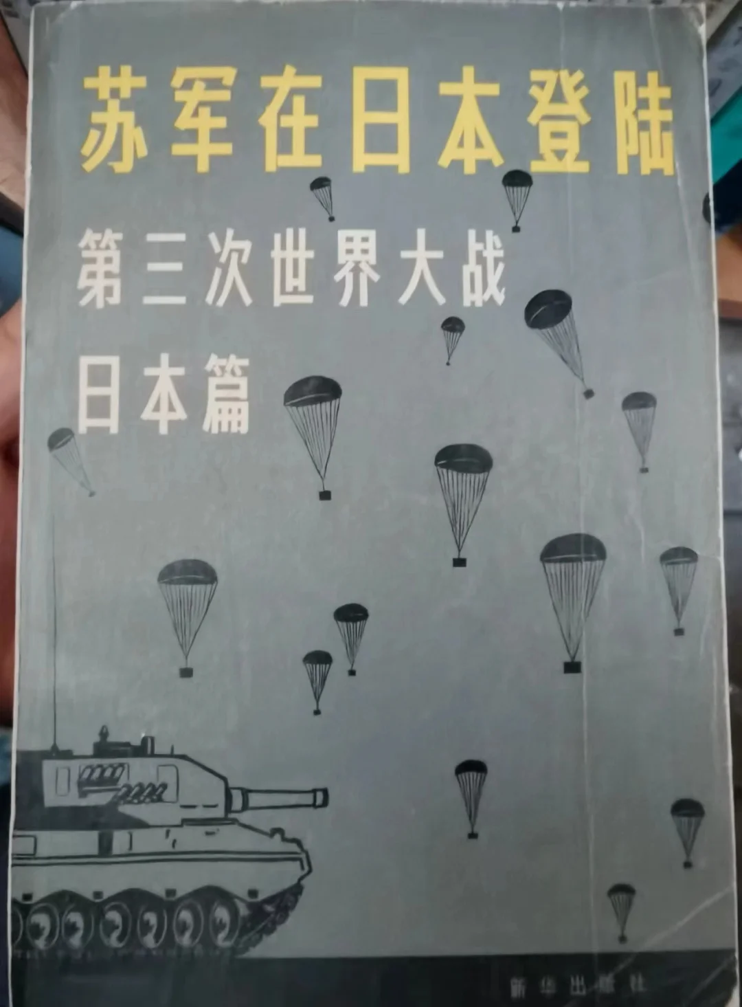 在地坛书市发现一本老书，算是小说？