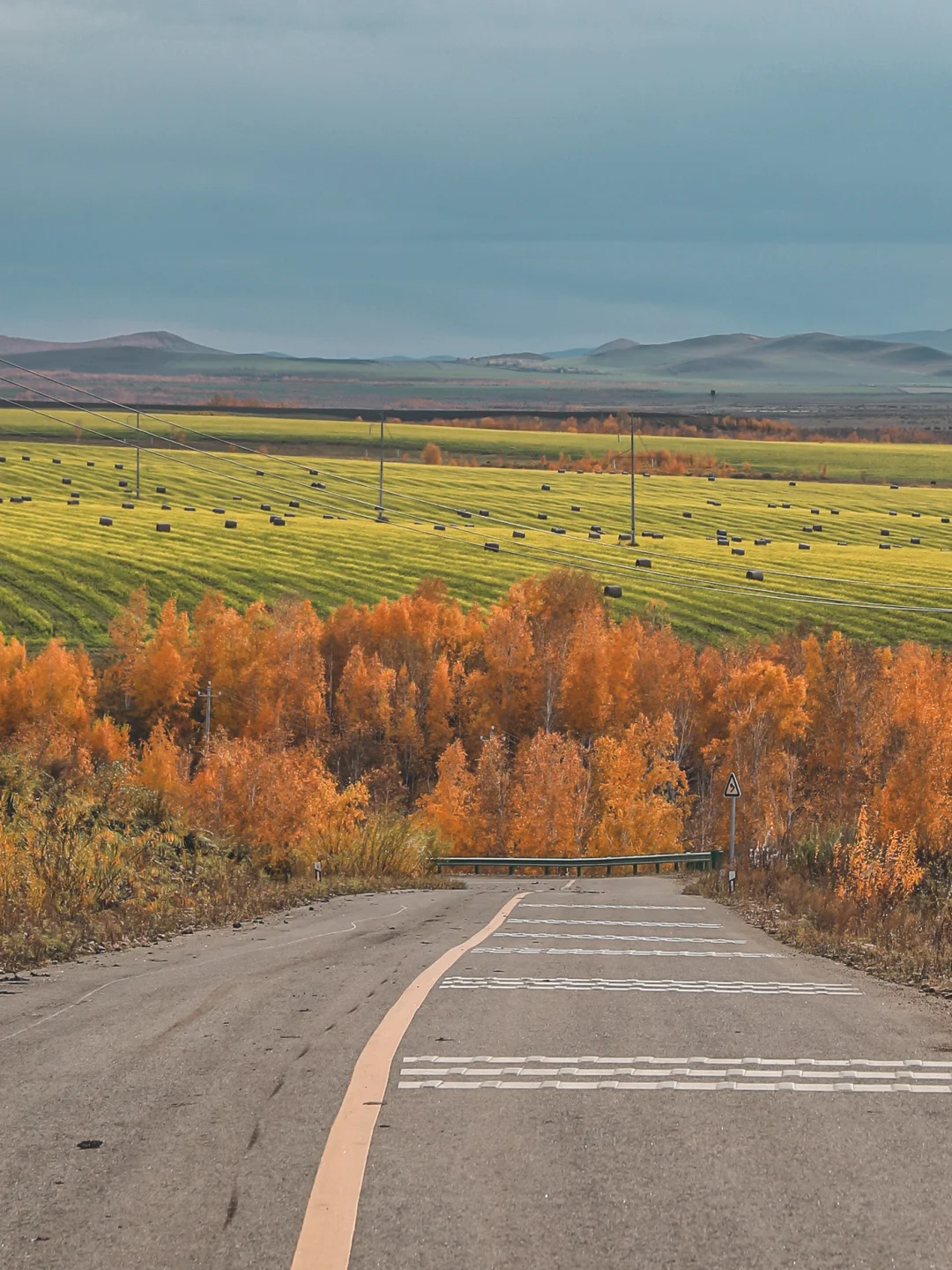 穿越金色秘境！呼伦贝尔的秋色全攻略！👍