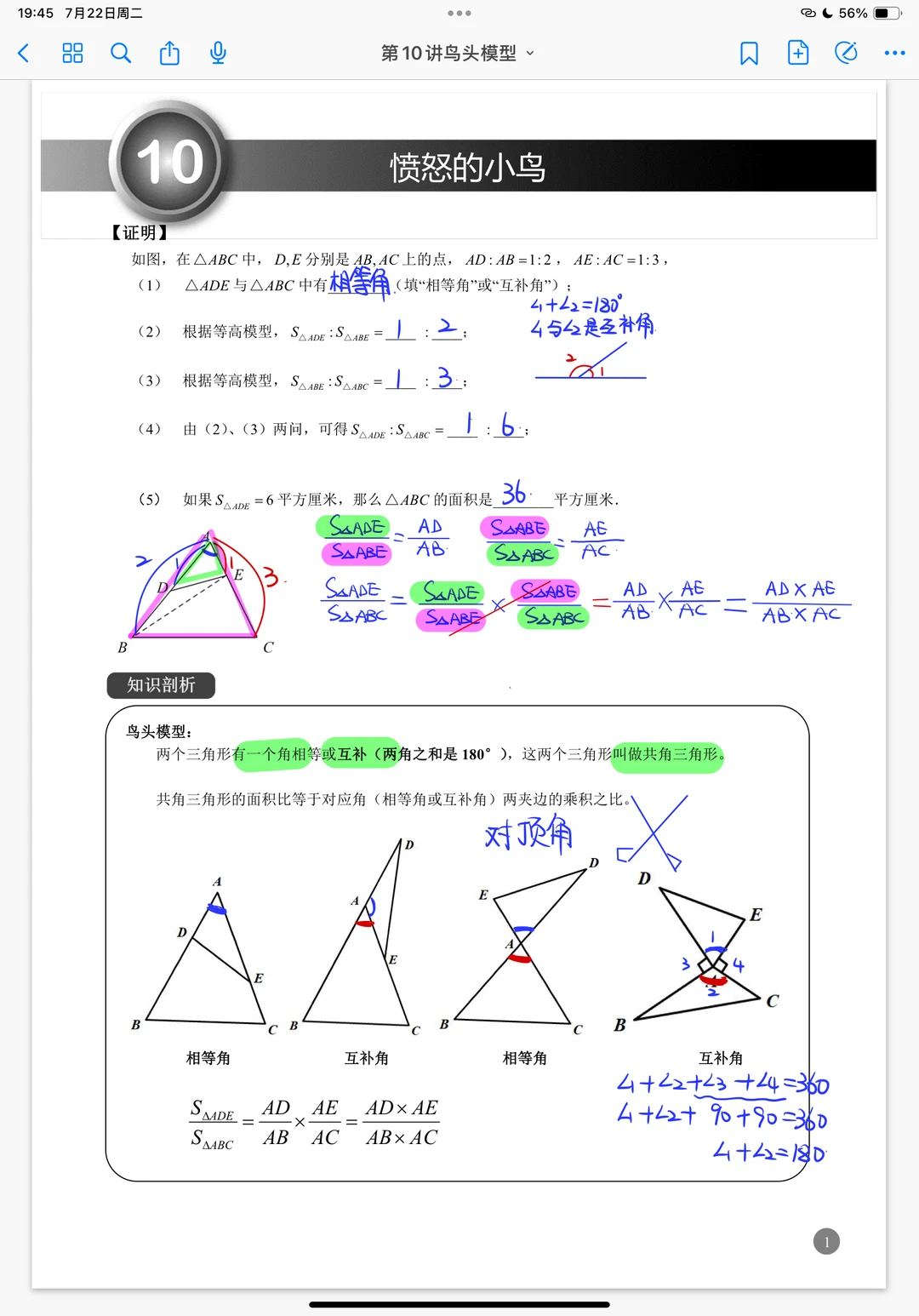 鸟头模型的四种类型