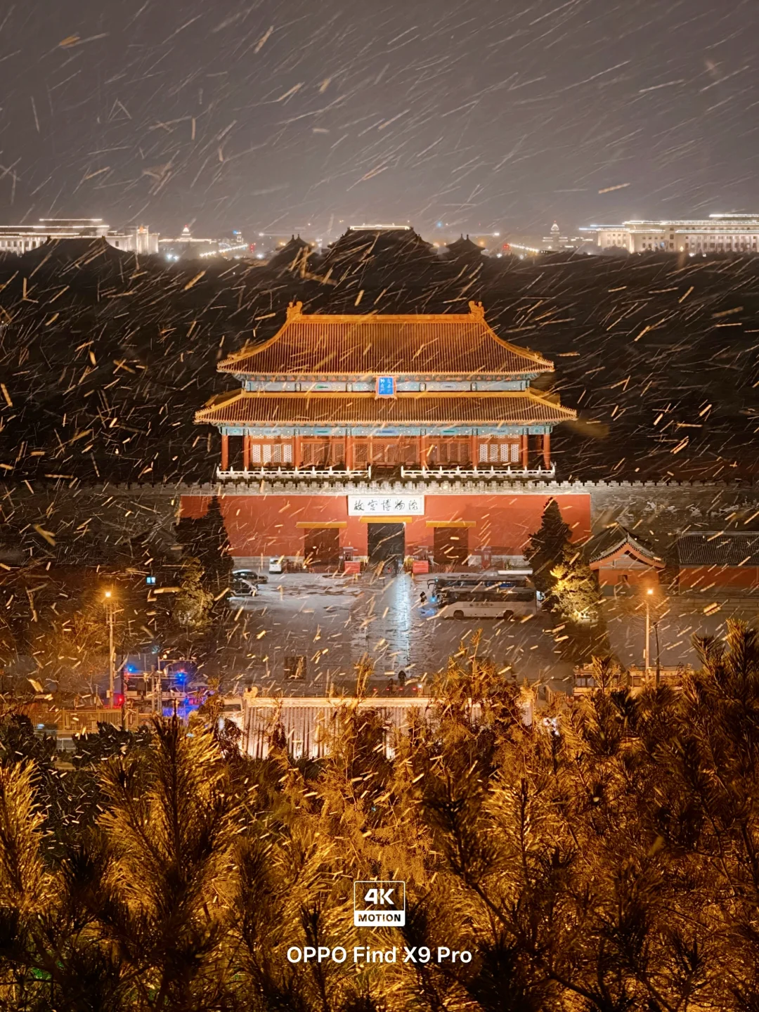 1.17故宫4KLive|雪是冬天的萤火虫