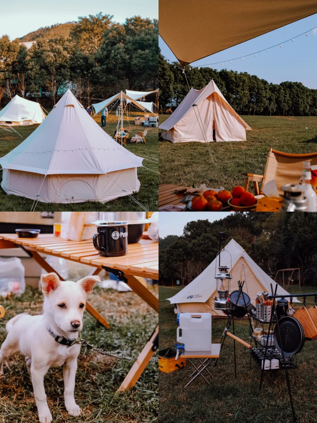 福州周末亲子游｜秋天第一场Glamping露营