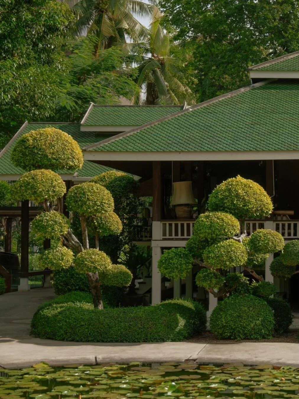 曼谷🌿一口气整理了🔟家绝美森林咖啡馆