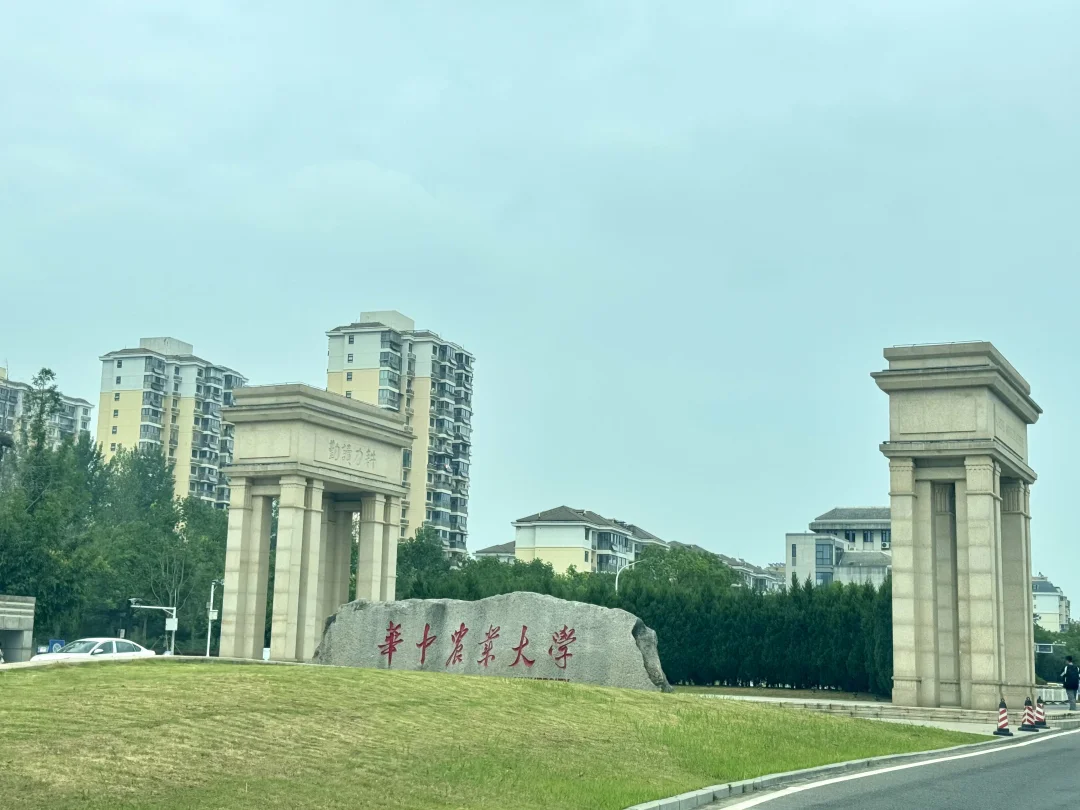 暑假遛娃好去处-逛大学