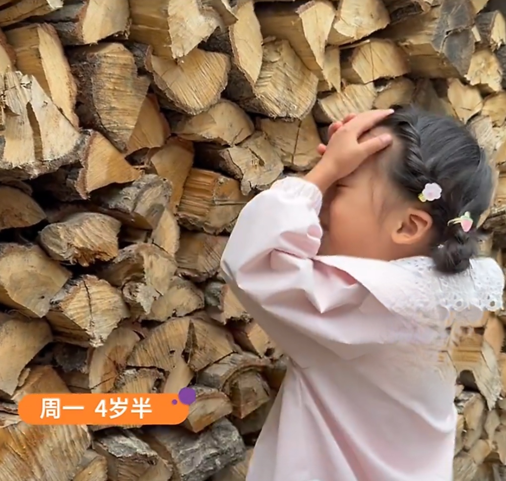 谁能想到，站在柴火垛旁边，一口流利标准英文的小姑娘，竟然只是普通农村家庭的孩子。
 
这段视频火了之后，不少网友猜测，孩子家里肯定是海归父母，条件优渥，才有能力教出这么好的英语。
 
面对大家的猜测，孩子父亲开口解释：“我们就是土生土长的乡村家庭，根本不是什么海归，孩子的英语，主要是孩子妈妈一直在带
