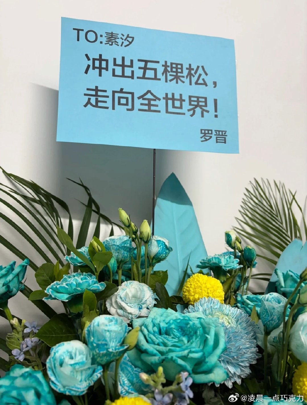#任素汐[超话]#  罗晋和宋妍霏也送了花篮！ ​