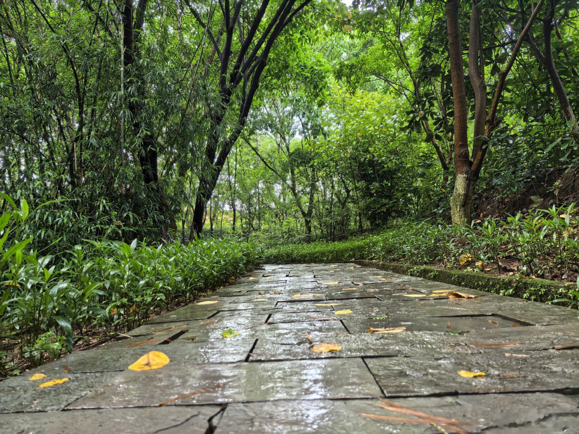 早晨在滨江路晨跑，雨滴“啪”地砸在脸上那一下，才猛地反应过来——AI真...
