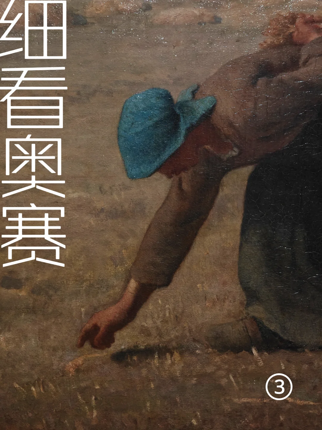 细看浦美奥赛大展③现实主义到自然主义