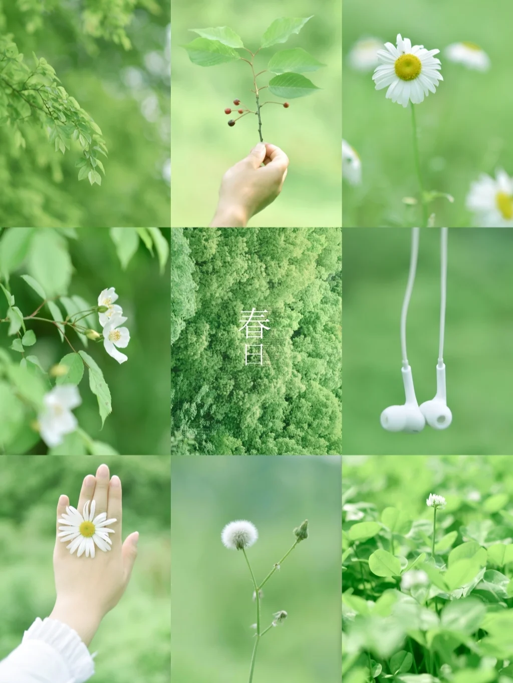 春日护眼壁纸/附清新绿调色教程！！！