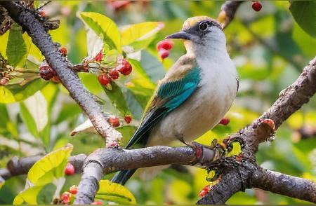 一定要做好家庭责任，和重担，这也是一个做女人的根本吧！