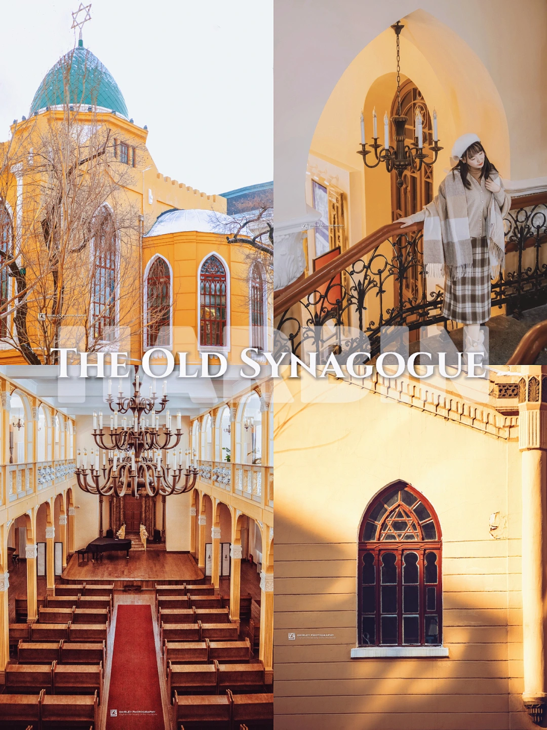 90%游客不知道的哈尔滨秘境，里面拍照绝了‼️