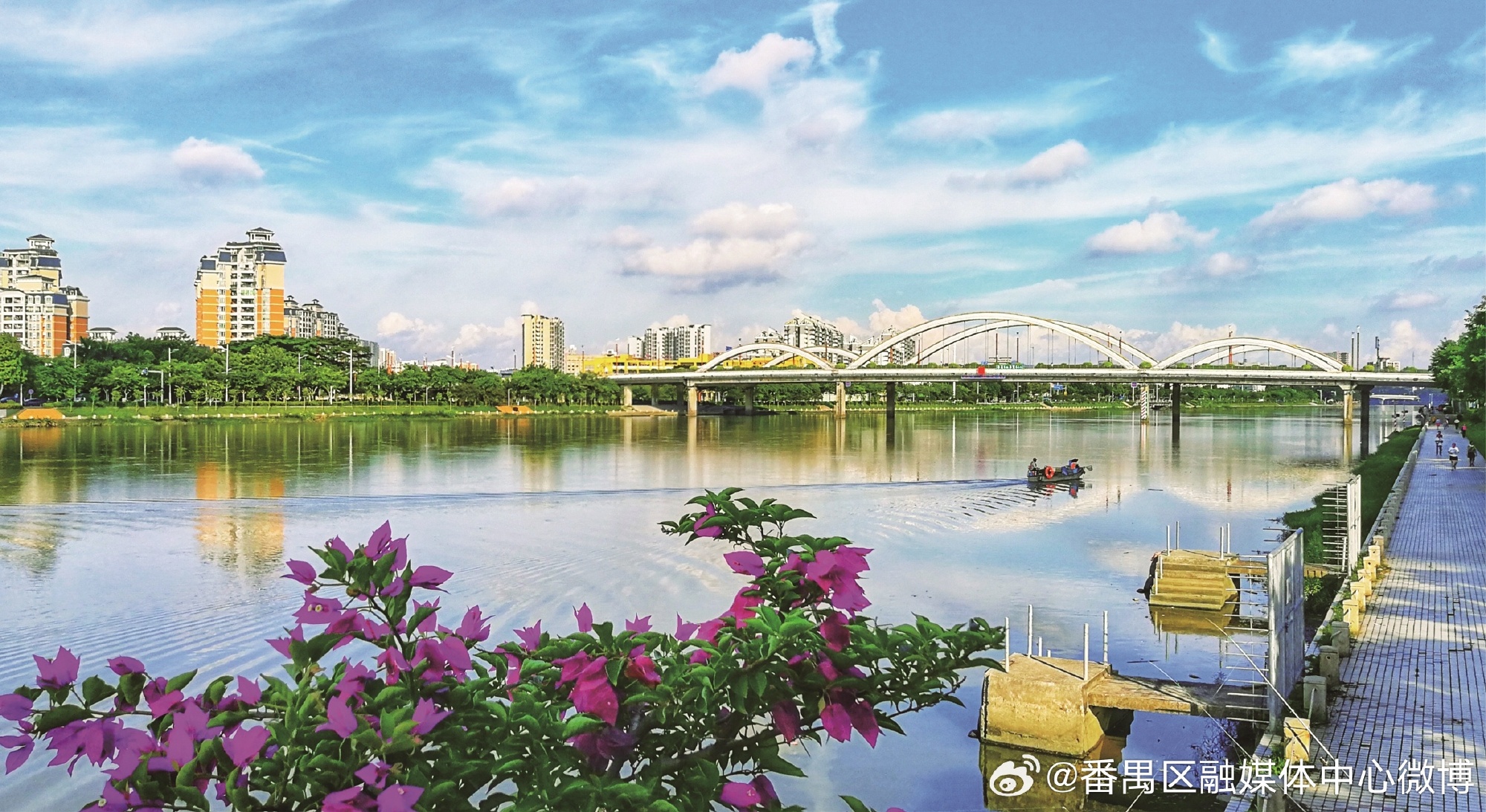 【市桥水道“晋级”广东省美丽河湖！母亲河穿城而过，番禺书写生态兴城新篇...