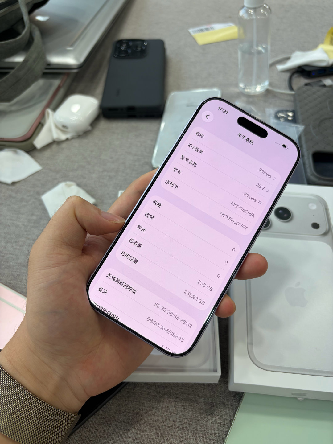 17 256G 4880国行 完美成色 ​