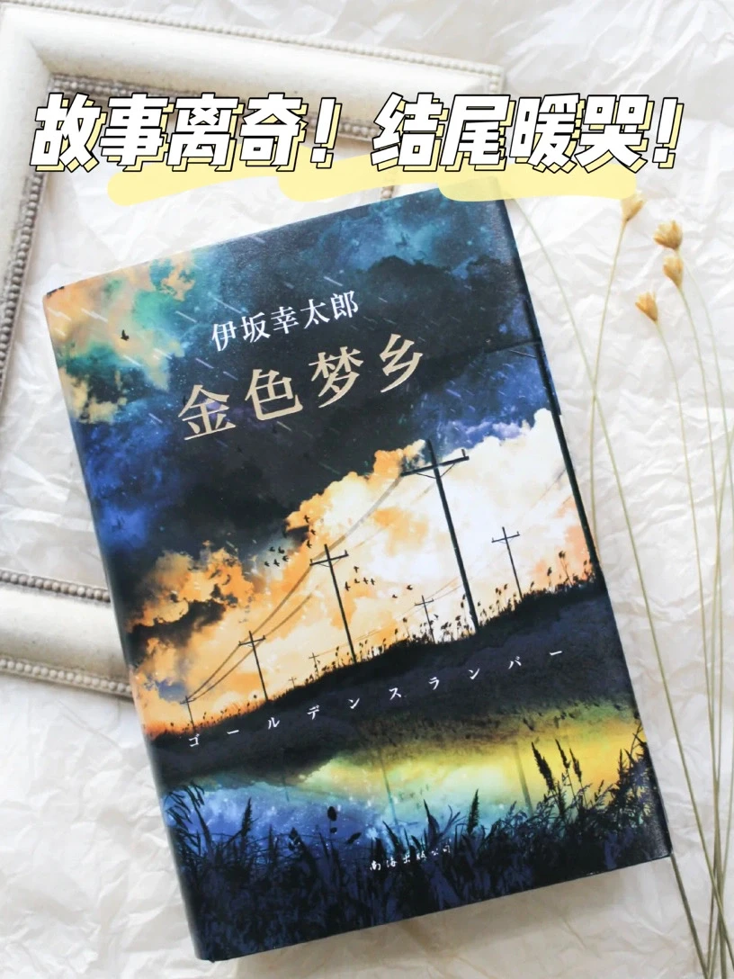 豆瓣9.0｜看完忍不住大哭一场，太治愈了！