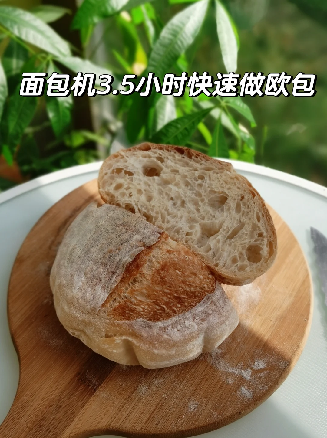 巧用面包机，快速做欧包，轻松不熬夜💤