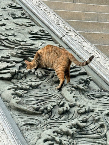 来过，明天睡到自然醒💤