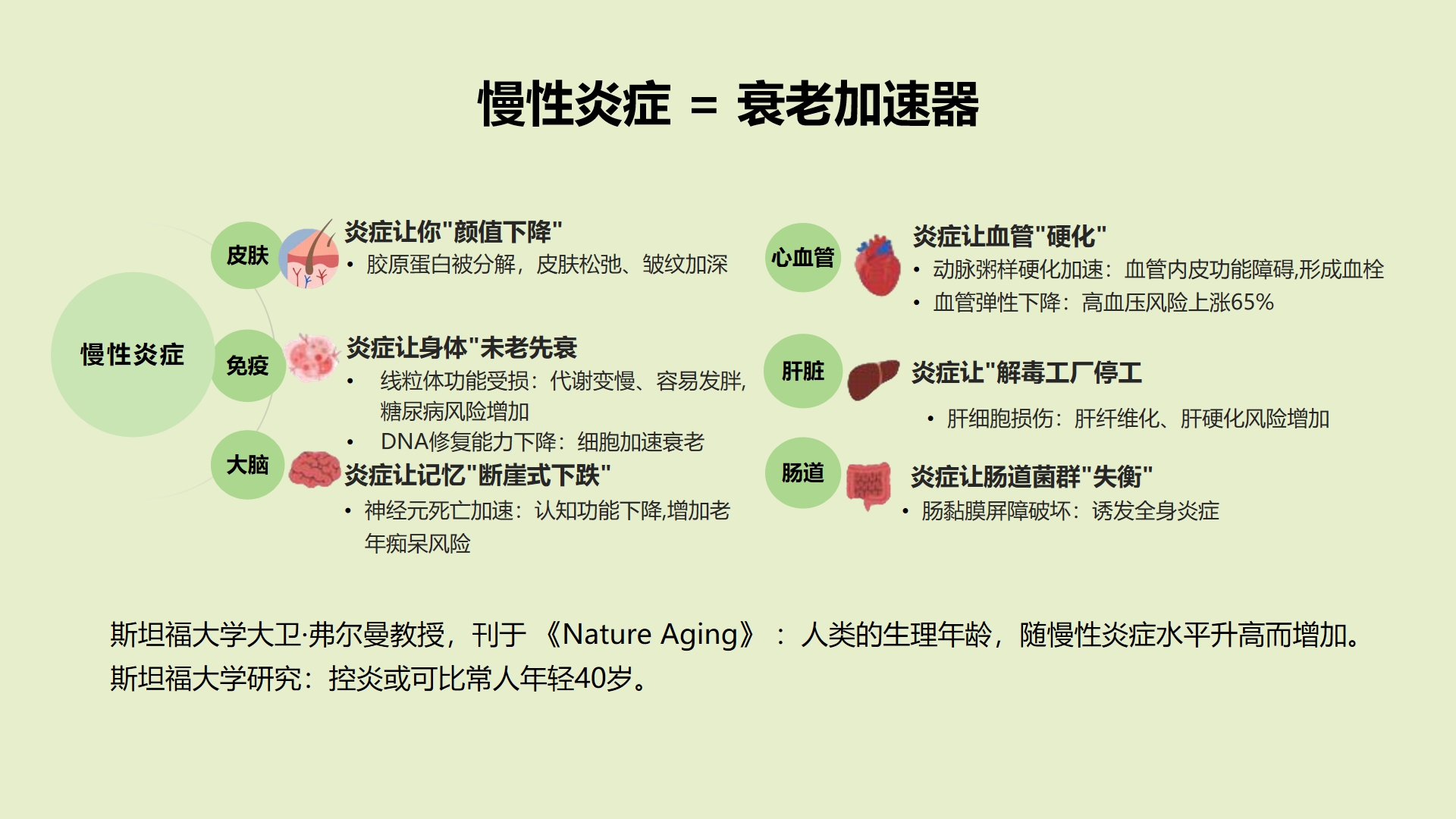 体检报告全正常，却总累、睡不好、肚子减不掉？你可能正在经历"慢性低度炎症"——身体里一堆没有明火的炭火，焖着几个月、几年甚至几十年。

它不疼，但它在：
🔸 激活大脑小胶质细胞，和老年痴呆相关
🔸 干扰褪黑素分泌，越睡越累
🔸 让内脏脂肪持续分泌促炎因子，越减越胖
🔸 分解胶原蛋白， ​