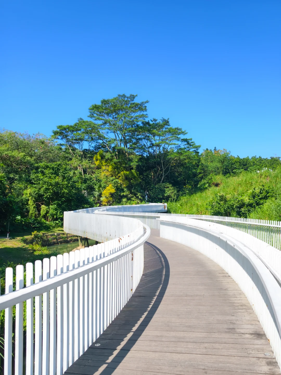 深圳人少景美出片率💯的森林溪谷绿道