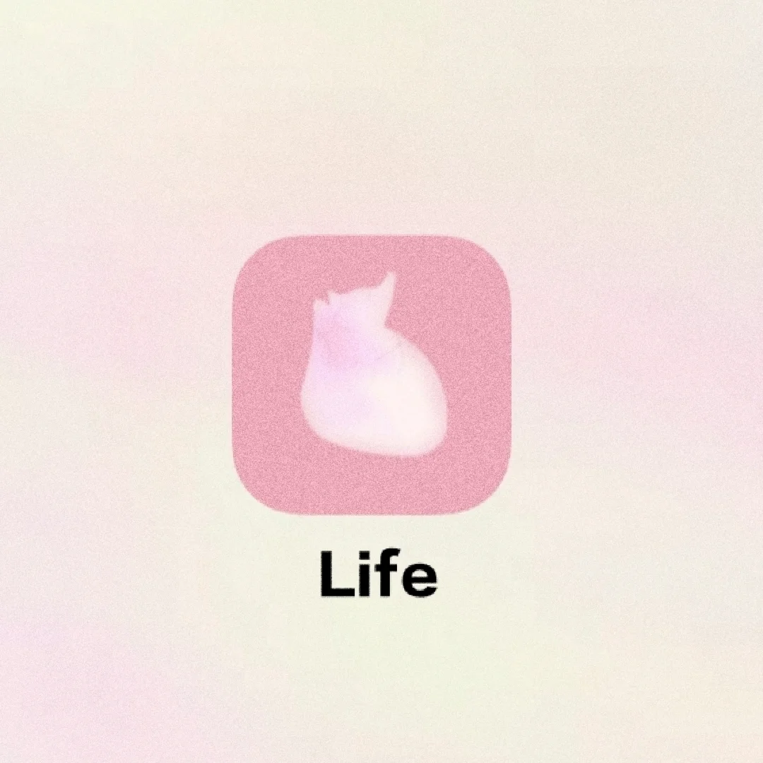 ✨医学生宝藏｜牛逼到家了的软件❗