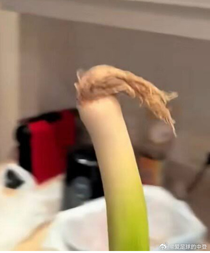 【福登亲自认证！“我看到哈兰德了！”😂 每一个大葱的最终宿命都是变成...