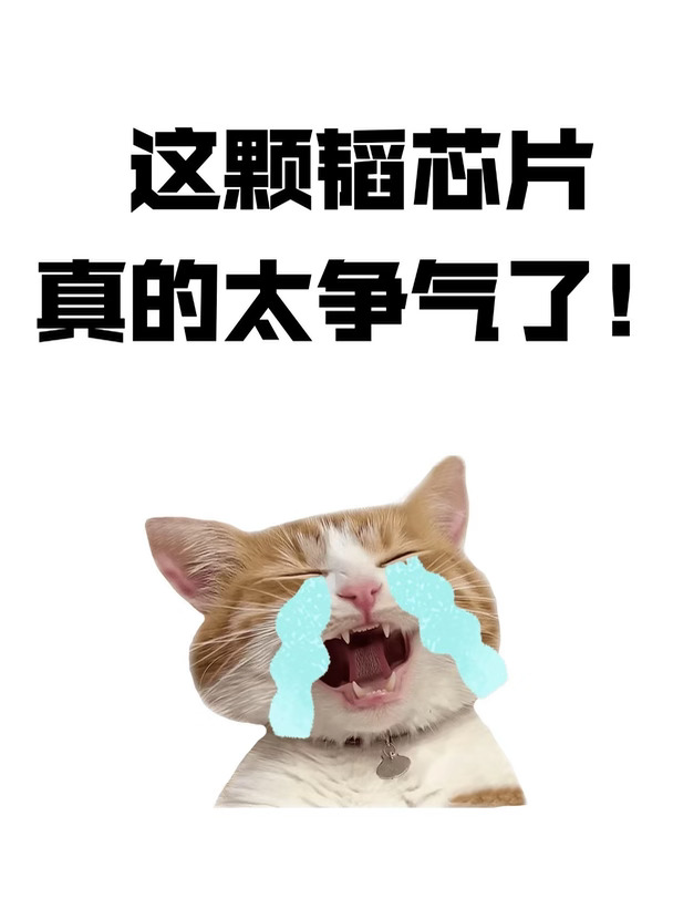 这颗韬芯片真的太争气了！