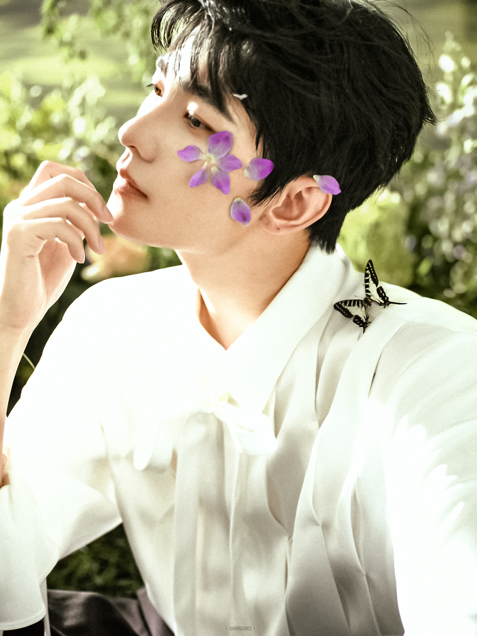 杨洋 * 祈尔繁芜胜常春 ​