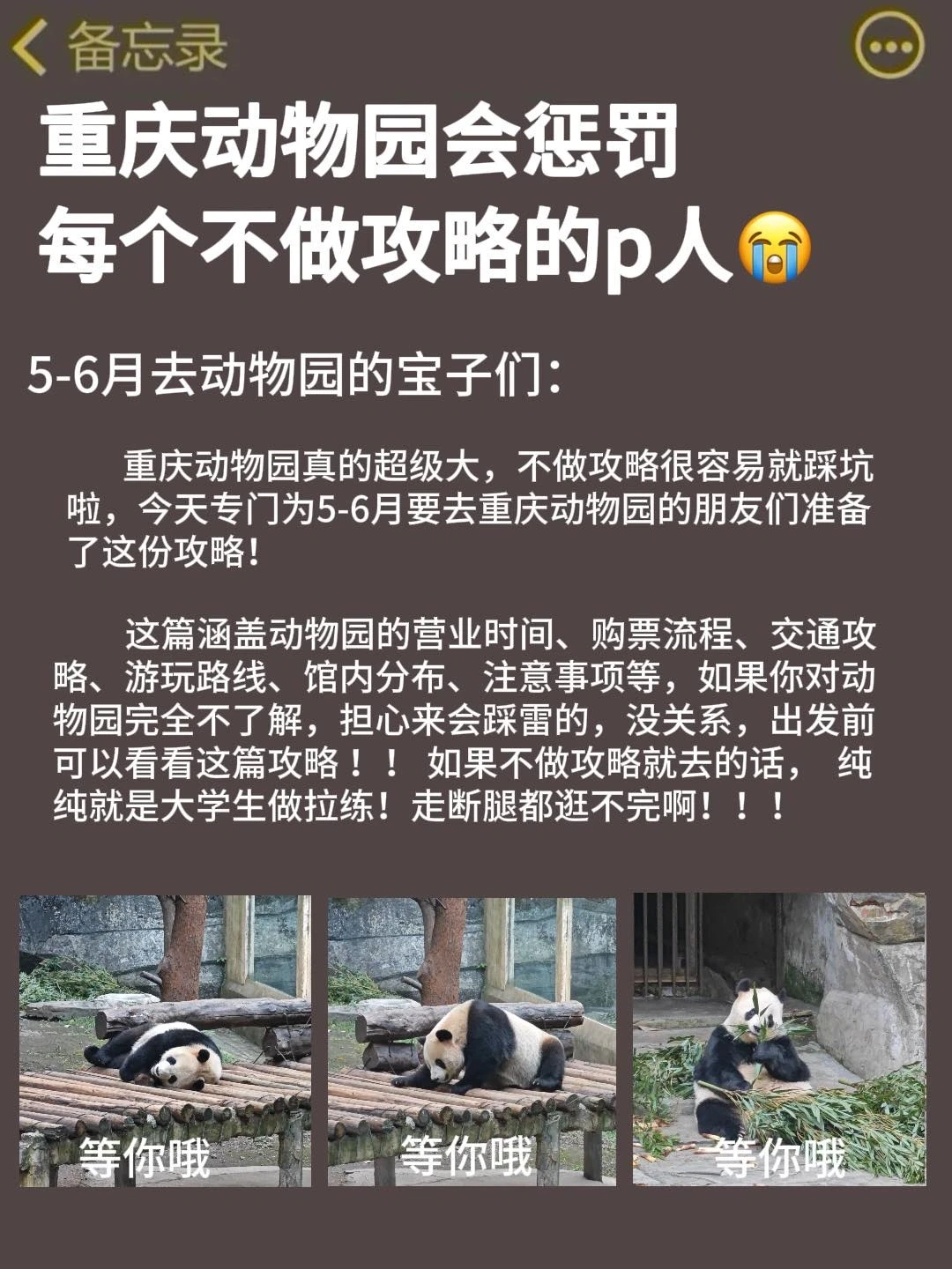 听劝！重庆动物园会惩罚每一个不做攻略的p人