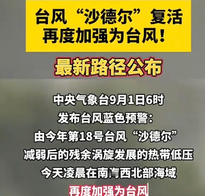 台风“沙德尔”确实“复活”了，而且中央气象台继续沿用原编号和名称，这种情况在气象史上都比较罕见。
我们台州这几日会有大到暴雨。