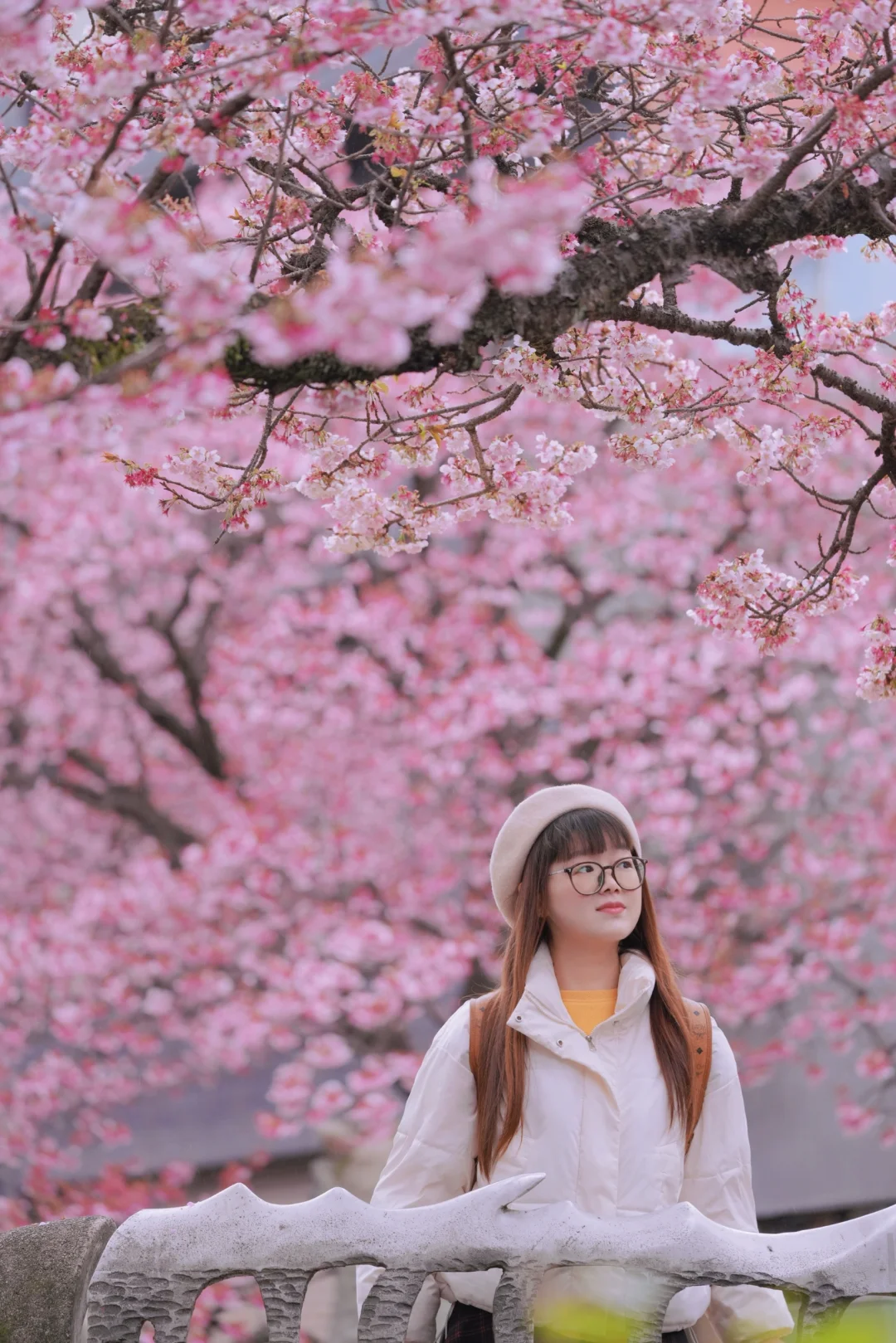 春节慢乐 | 我在日本热海拍到了人生照片