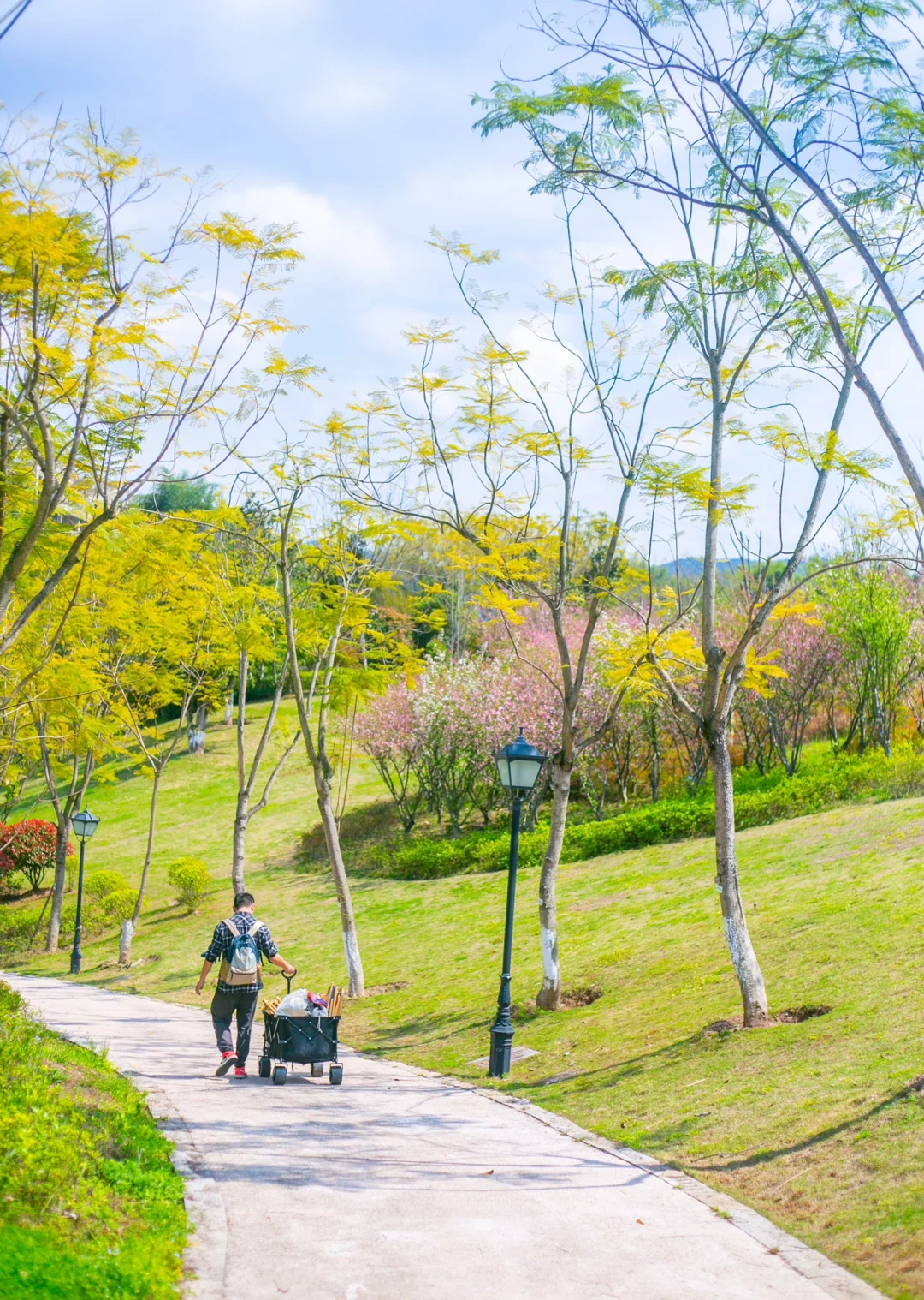 重庆露营⛺️主城新公园～亲水没人太适合露营