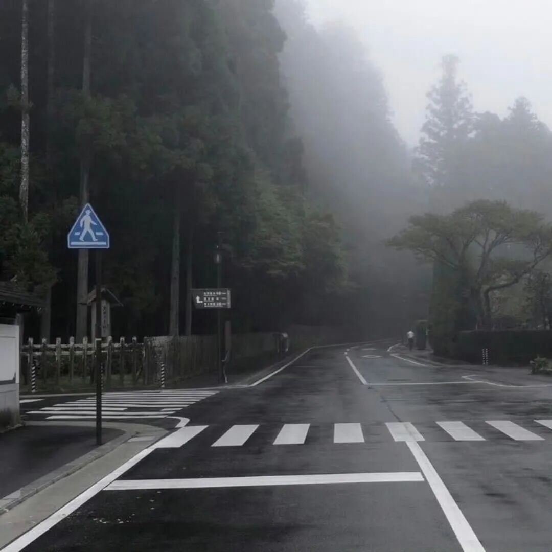 壁纸分享/Wechat背景图/背景图/聊天背景图/壁纸套图/iPhone壁纸/审美积累/手机壁纸/高清/风景/小众 /自喜/猜你喜欢/头像/风景/壁纸WeChat ​